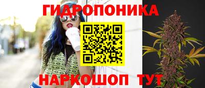ПСИЛОЦИБИНОВЫЕ ГРИБЫ Партизанск