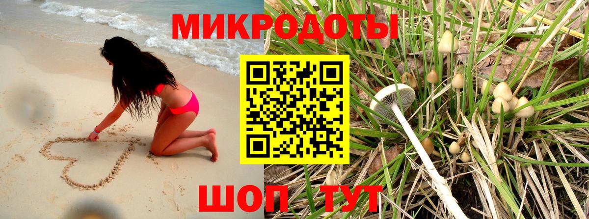 Псилоцибиновые грибы GOLDEN TEACHER Тулун