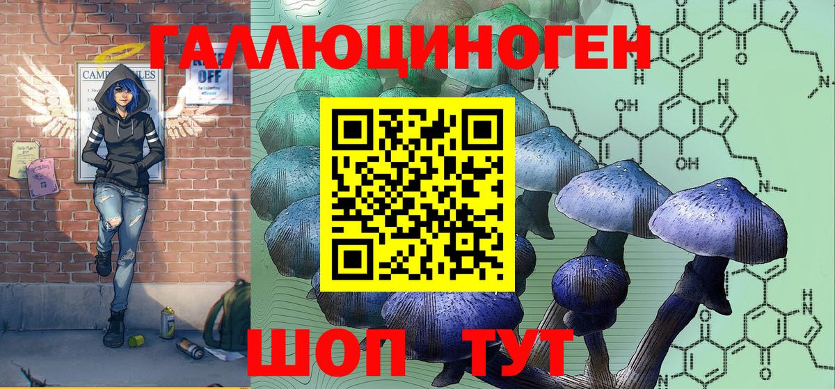 Псилоцибиновые грибы прущие грибы  Псилоцибиновые грибы MAGIC MUSHROOMS  Тулун  Вход с VPN 